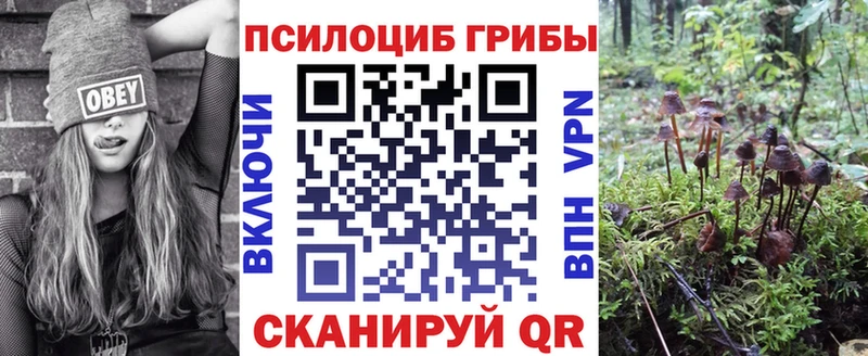 Псилоцибиновые грибы Magic Shrooms Заволжье