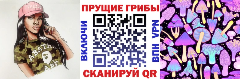 Псилоцибиновые грибы MAGIC MUSHROOMS  Заволжье 